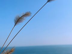 -石槽海滨浴场