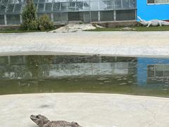 -秦皇岛野生动物园