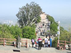 -神农山景区