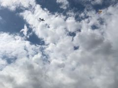 -春花秋色城市公园