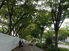 -名古屋城