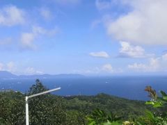 -华侨城湿地公园