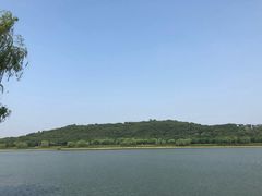 -羊山湖公园
