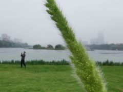 -南宁南湖公园