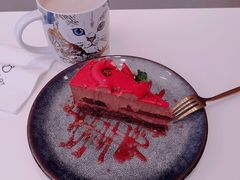 -飞行喵MR PILOT|猫舍·猫咖(静安大融城店)