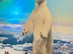 -陕西自然博物馆