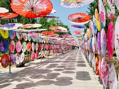 -野鸭湖国家湿地公园