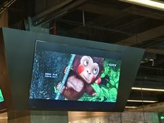 -404干式熟成牛排馆•聚会餐厅