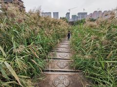 -西安汉城湖景区