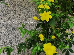 -人民广场