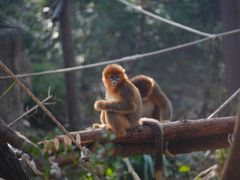 -fishtank鱼缸咖啡(三山街店)