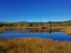 -塞罕坝国家级自然保护区