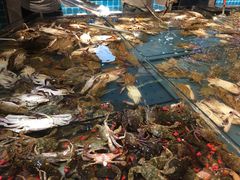 飞蟹-钱库里海鲜自助(星海广场店)