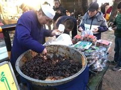 -马文章胖子甑糕(洒金桥店)