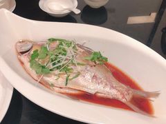 -亢龙太子酒轩(东湖店)