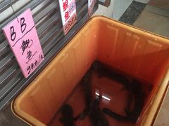 -荔城生鲜盛宴(番禺旗舰店)