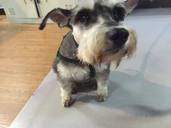 -拳盛时代拳击俱乐部(北京路店)