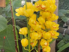 -国家植物园南园