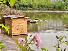 -西南政法大学(渝北校区)