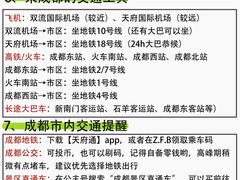 -王婆婆老妈蹄花川菜馆·非物质文化遗产(太古里一店)