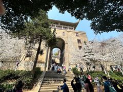 -武汉大学-樱园