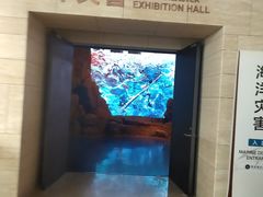 -贝林大翅鲸简餐厅(国家海洋博物馆店)