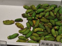 -映像威海·海鲜味道(经区店)