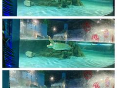 -常州海昌海洋探索馆