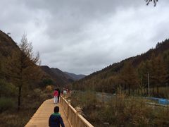 -苏木山森林公园