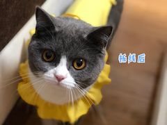 -爱侣宠医·鹦鹉专科·小型哺乳类·异宠专科(灵石路店)