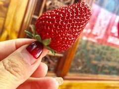 -象山村腊排骨(丽江总店)