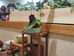 -畅和茶坊·曦瓜中国大红袍