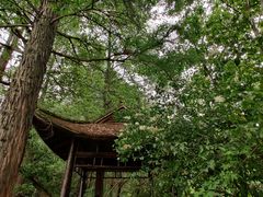 -东湖落雁景区