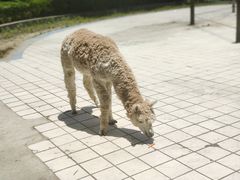 -宁波野生动物园