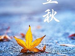 -新享乐海鲜(翠华路店)