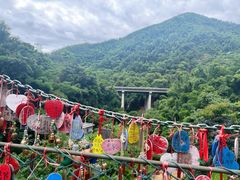 -西双版纳原始森林公园