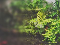 -漫笙舍Manse·咖啡·民宿