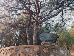 -北京鹫峰国家森林公园