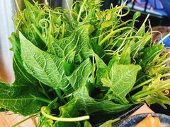 -新草堂锅物料理(泉城路店)