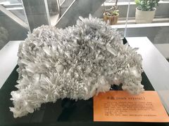 景点-中国第四纪冰川遗迹陈列馆