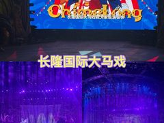 -广州长隆国际大马戏