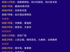 -王婆婆老妈蹄花川菜馆·非物质文化遗产(太古里一店)