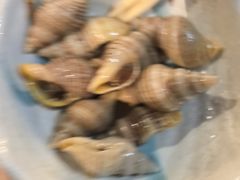 -黑松白鹿(金融街店)