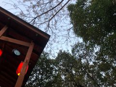 -西安国际创新人才交流中心•药浴温泉