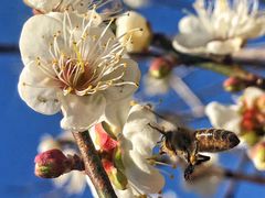 -广州市流溪河国家森林公园