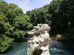 -普陀山风景名胜区-法雨禅寺
