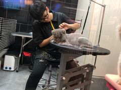 -小尾巴宠物店(万科·金域华庭店)