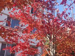 -沈阳职业技术学院