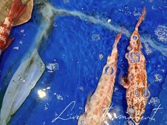 -三亚火车头万人海鲜广场