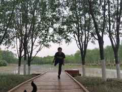 -东郊湿地公园